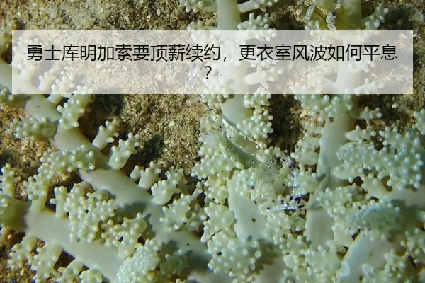 yong-shi-ku-ming-jia-suo-yao-ding-xin-xu-yue-geng-yi-shi-feng-bo-ru-he-ping-xi-3-223.jpg