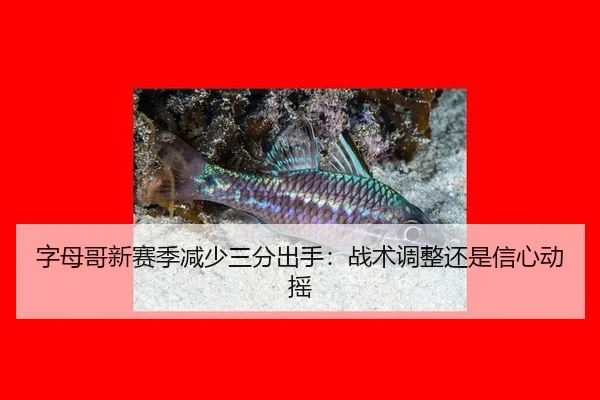字母哥新赛季减少三分出手：战术调整还是信心动摇